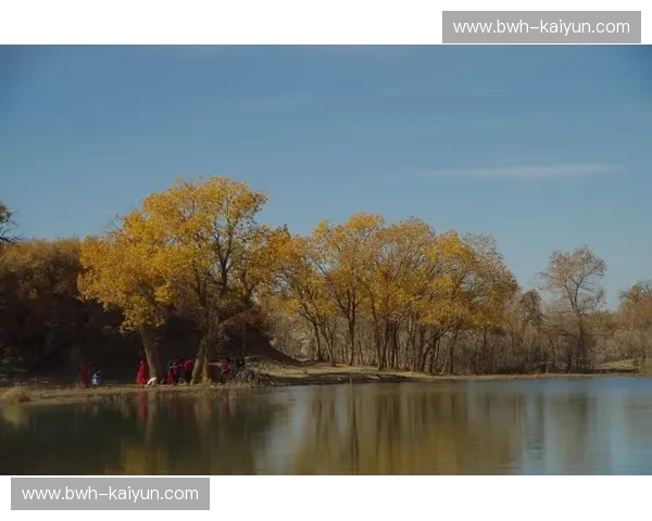 权力的交接与孤傲的守望：2010年湖雷大战，那场划破时代的雷鸣